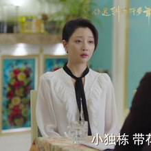 你迟到 V领白色雪纺衬衫 女韩版 百褶套头衬衣 许多年莫莉殷桃同款