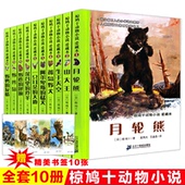 堪比沈石溪动物小说书籍 正版 孤岛野犬山大王月轮熊惊鸠十 14岁课外书中小学生儿童文学读物 椋鸠十动物小说爱藏本全集10册