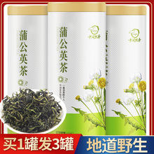 天然野生古古丁茶特级茶叶 买1发3蒲公英茶蒲公英带根干纯花茶正品