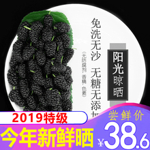 包邮 2019桑葚桑甚干野生黑桑椹干免洗特级非新疆即食泡水酒茶500g