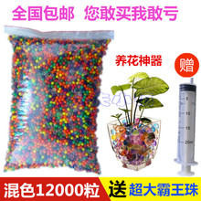 玩具无土养花 变大膨胀吸水珠3000粒 水泡海洋宝宝豆彩色水晶球