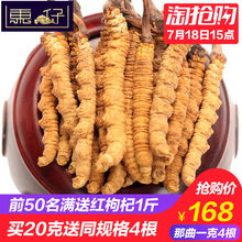 东仔 西藏那曲冬虫夏草干草正品野生4条1克无断草非青海玉树虫草