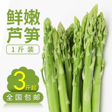 芦笋蔬菜包邮 新鲜绿芦笋1斤装去白根净重500g 3斤起全国包邮