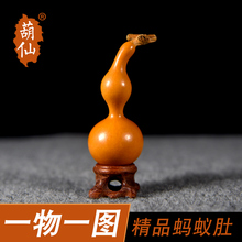葫仙精品天然蚂蚁肚小葫芦精选一物一图手捻文玩草里金天津嘴亚腰