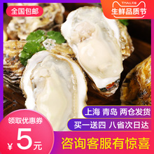生蚝鲜活乳山牡蛎海蛎子新鲜即食海鲜烧烤食材5斤装 10斤特大批发