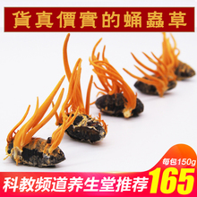 热卖 产地发北冬虫夏草蛹虫草虫体孢子头150g金虫草花干货煲汤泡酒