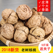 核桃云南核桃薄皮纸皮核桃纸皮核桃2018新货薄壳核桃5斤装实惠装