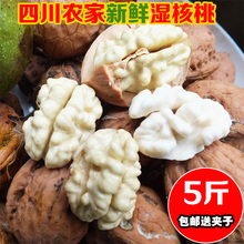 四川鲜核桃孕妇核桃新鲜香甜 去青皮湿核桃5斤 2018新鲜核桃 现货