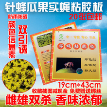包邮 果蝇诱捕实蝇粘胶板黏虫板果园粘虫纸大棚针蜂贴果树小飞虫子
