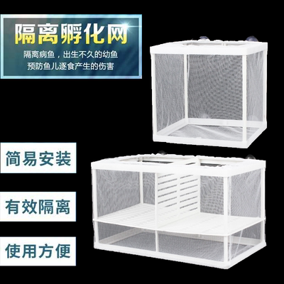鱼缸水族箱孵化器小鱼隔离盒网热带鱼繁殖箱产盒孵鱼槽繁殖箱鱼网