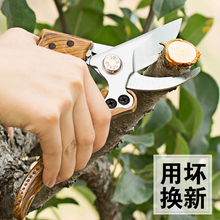 花剪园林园艺剪剪枝剪刀修剪树枝果树剪子修花枝剪修枝剪粗枝省力