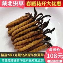 包邮 精选冬虫夏草藏北高原虫草非西藏那曲青海玉树无断草2根1克