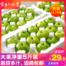 甜脆牛奶枣大青枣水果5斤新鲜枣子贵妃枣冬枣台湾品种东枣苹果枣