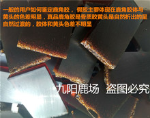 鹿角胶鹿场自产亲手熬制250克 正品 包邮 原产地不含黄酒
