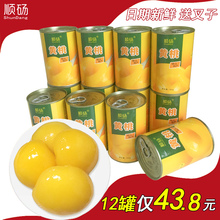 顺砀黄桃罐头糖水对开砀山特产新鲜水果烘焙整箱12罐425克送叉子