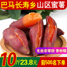 巴马小蜜薯新鲜红薯农家自种低价批发整箱10斤板栗味地瓜番薯山芋