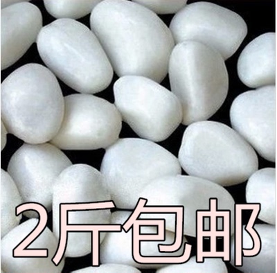 鹅卵石 纯白色鹅卵石白色小石子椭圆形 铺地花盆装饰鱼缸美观大方