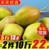 包邮 整箱10红香酥梨脆甜媲美新疆库尔勒 香梨5斤带箱梨子新鲜水果