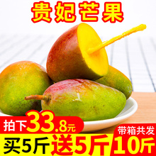 包邮 红金龙芒果 广西百色贵妃芒新鲜当季水果现摘带箱10斤批发
