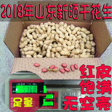 18年新货 农家自种晒干花生带壳红皮生花生种子散装5斤装花生种籽