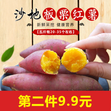2018现挖新鲜红薯农家板栗薯粉糯黄心红薯金手指地瓜山芋番薯5斤