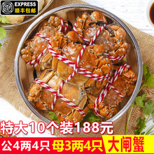 包邮 螃蟹鲜活大闸蟹阳澄湖镇特大海鲜水产母蟹3两公蟹4量10只顺丰