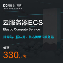 【自营】阿里云ECS云服务器XN4型号/通用版/开发测试/香港地域
