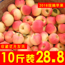 包邮 新鲜当季整箱现摘应季萍果冰糖心红富士 嘎啦苹果水果10斤批发