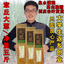 山东章丘大葱包邮免运费 新鲜蔬菜10甜葱蘸酱特级5斤礼盒装当季