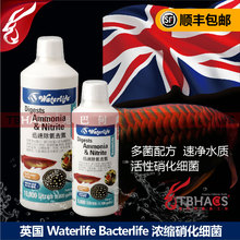 包邮 顺丰 英国进口waterlife水族生态硝化细菌水族箱快速分解毒素