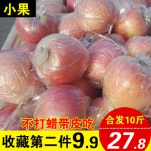 新鲜红富士丑苹果5斤10斤非冰糖心萍果孕妇吃的水果第二件9.9包邮