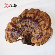 林岛 长白山野生灵芝 大个野生灵芝5.5元1g(联系客服拍照选购)