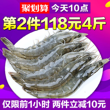 大虾鲜活海鲜水产活虾基围虾超大冻虾青岛对虾海虾鲜虾青虾4斤