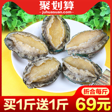 鲍鱼鲜活个大即食大鲍鱼新鲜小鲍鱼佛跳墙贝类海鲜水产500g包邮