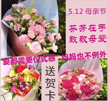 云南母亲节花束鲜花直批昆明基地直发水养鲜切花直供多头康乃馨