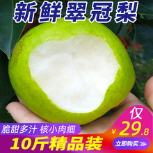 包邮 当季水果整箱批发 新鲜梨子10斤砀山酥梨翠冠梨青梨皇冠梨