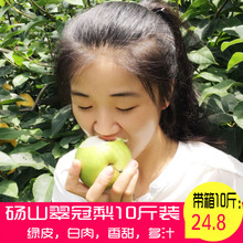 包邮 当季水果整箱5斤 新鲜梨子10斤砀山酥梨翠冠梨青梨皇冠梨