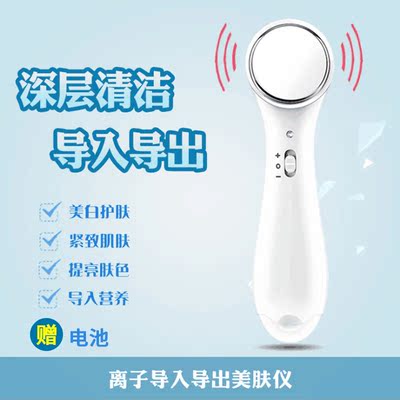电动面部洁面仪