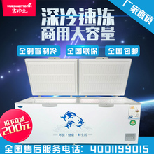 雪神童大冰柜商用大容量卧式冷藏冷冻家用冷柜单双温冰箱展示柜