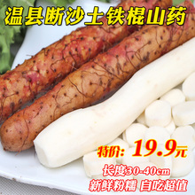 河南焦作温县短断沙土铁棍山药正宗怀淮山药新鲜山约4斤