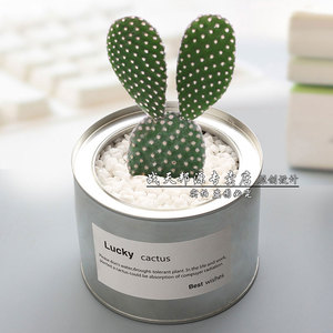 金属铁罐色多肉植物盆栽