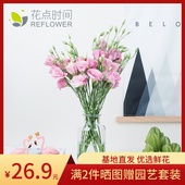办公室鲜花 多色 云南直达洋桔梗鲜花家居摆设人气爆款 花点时间