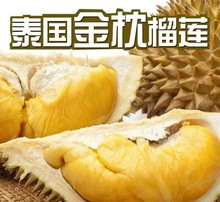 二到三天发货 5斤 泰国金枕头A果榴莲云南口岸当天新鲜发货4