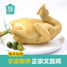 正宗海南文昌鸡白切鸡熟鸡椰子鸡农家散养土鸡熟食整只2斤顺丰