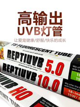 REPTIUVB HO专业多肉植物爬虫UVB灯管超越10.0 T815w H-STUDIO5.0