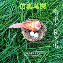 藤编织鸟巢 草编鸟巢鸟窝鸟蛋 仿真鸟窝 微景观
