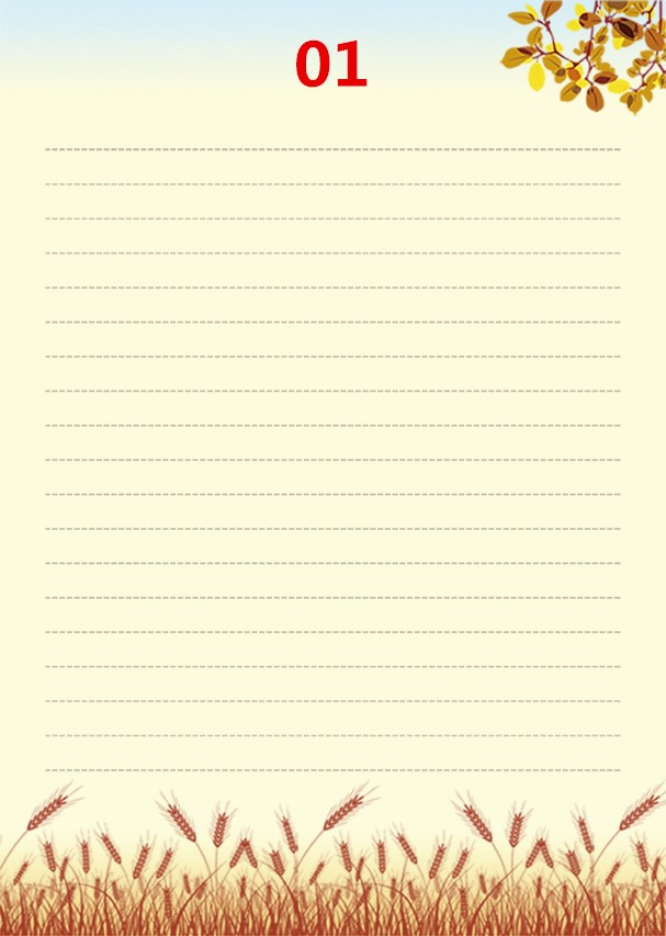 多省包邮A4彩色书写纸带图案个性信纸打印纸多种带横线信纸