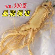 包邮 保鲜泡酒煲汤特大个东北人参价格整枝 长白山新鲜人参
