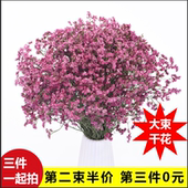 云南真花干花花束批发家居摆设小清新客厅勿忘我永生装饰满天星混