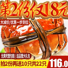 抢2份共22只 现货阳澄湖大闸蟹六月黄鲜活特大螃蟹公母蟹新鲜礼盒